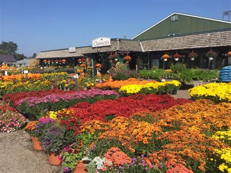 clausen nursery|claussen's florist colchester vt.